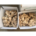 2021 New Crop Export Chinese Fresh Air Dried Ginger